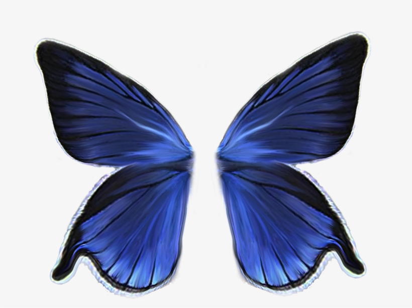 001wings - Butterfly Wings, transparent png #1535919