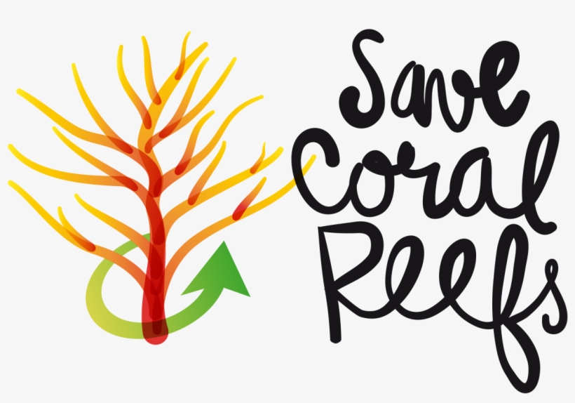 Posts Tagged With 'artificial Coral Reef', transparent png #1536240