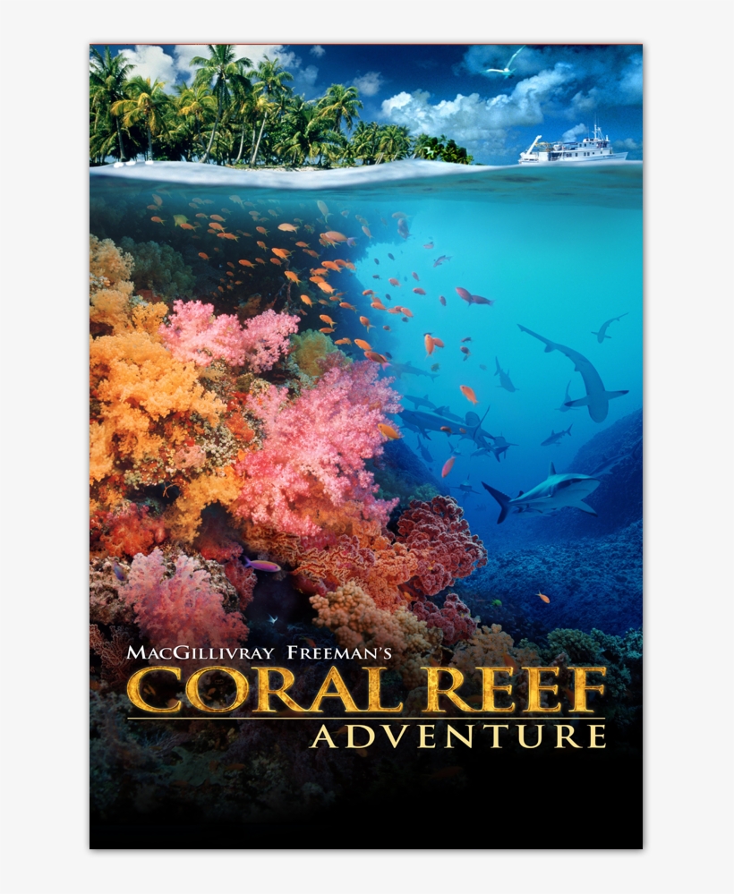 Coral Reef Adventure [blu-ray] - Imax: Coral Reef Adventure [dvd], transparent png #1536328