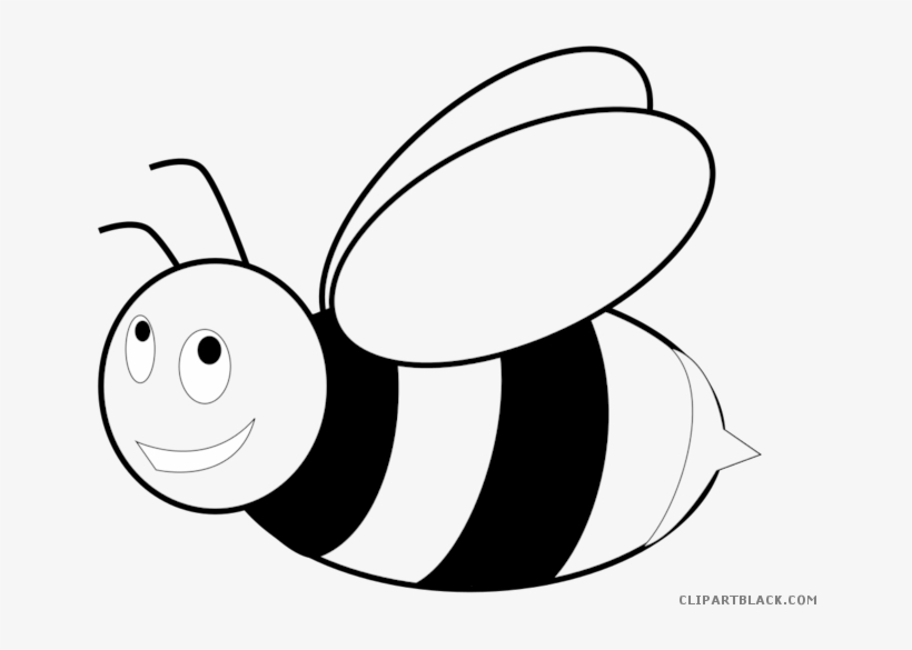 Honey Bee Clipart - Coloring Page Of Bees, transparent png #1537468