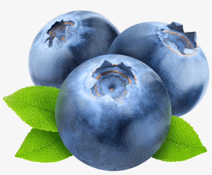 Free Png Blueberries Png Images Transparent - Transparent Background Blueberry Clipart, transparent png #1537570