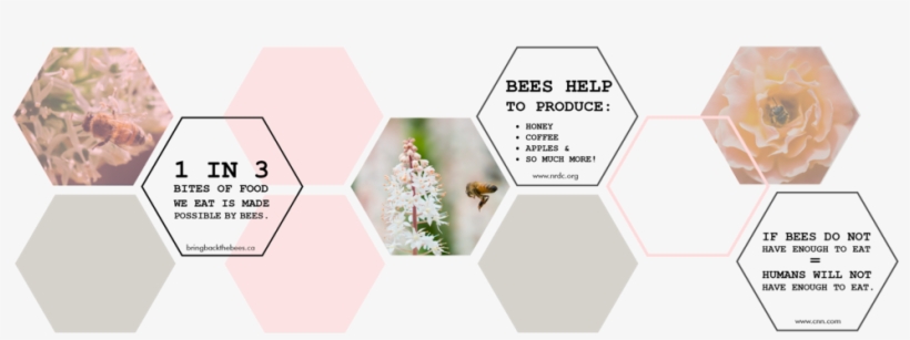 Why We Need Bees - Portable Network Graphics, transparent png #1537728