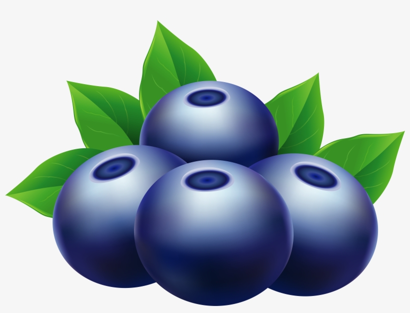 Clipart Blueberries, transparent png #1537851