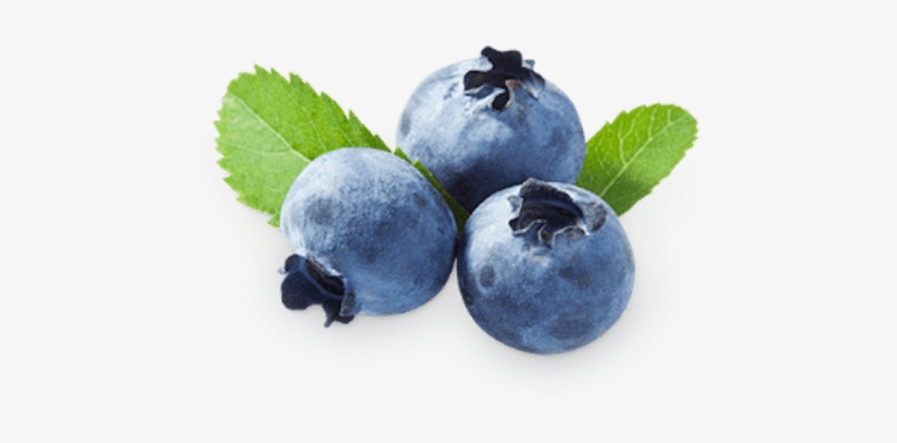Free Png Blueberries Png Images Transparent - Bilberry Extract Powder 1 Lb, transparent png #1537956