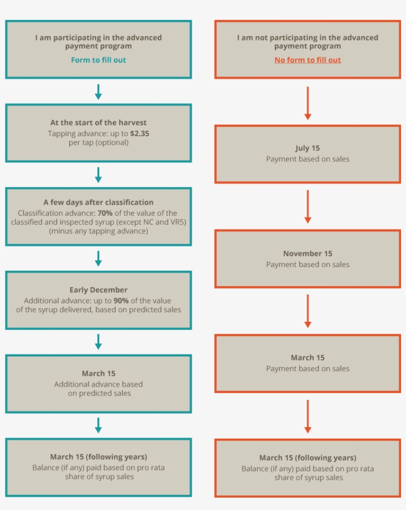 Industrial Maple Syrup - Québec, transparent png #1538304