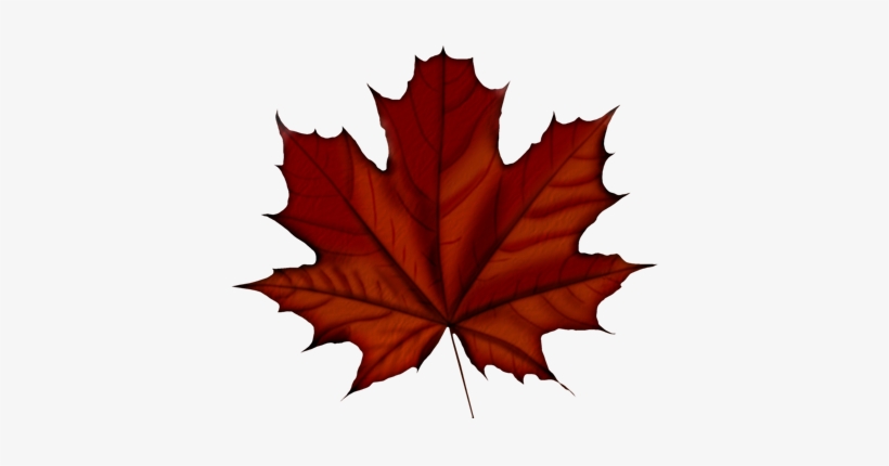 Похожее Изображение - Canada Day 150 Anniversary, transparent png #1538389
