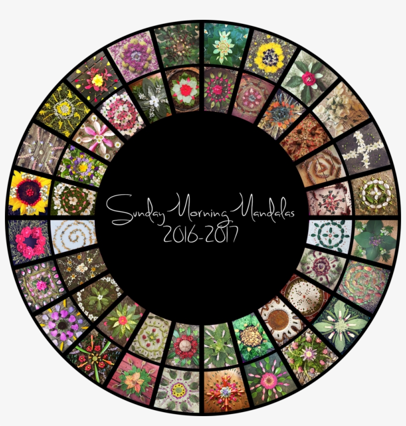 Smm 2016-2017 Transparent Background - Circle, transparent png #1538626