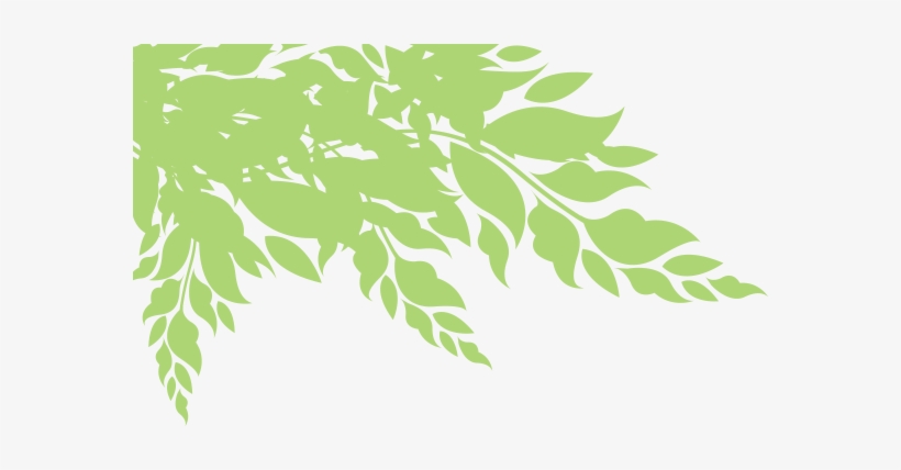 American River Conservancy, transparent png #1538649