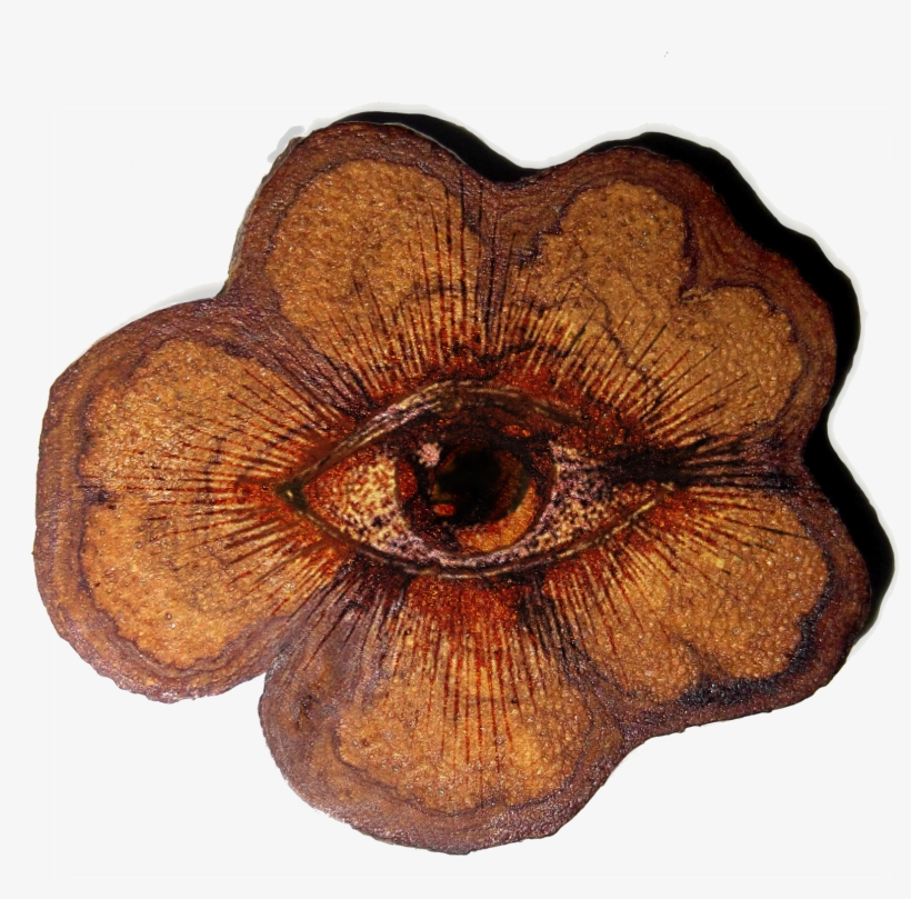 Psychedelic Drug Ayahuasca Improves Hard To Treat Depression - Ayahuasca Vine, transparent png #1538713