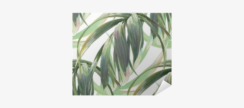 Watercolor Illustration Of Leaf, Seamless Pattern On - Sabal Palmetto, transparent png #1538714