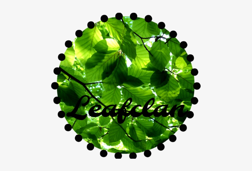Leafs By Djdeejayf-d64s4dd - Ncvt Mis Result 2017 Iti, transparent png #1538740