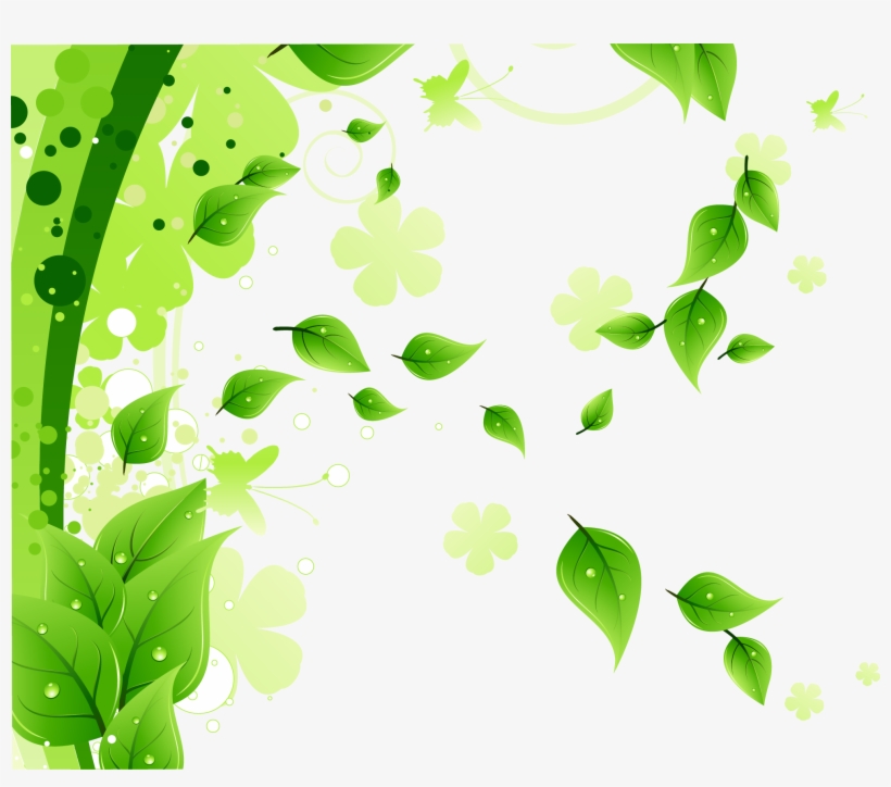Leaf Decoration Background Transprent Png Free Download - Vector Graphics, transparent png #1539185