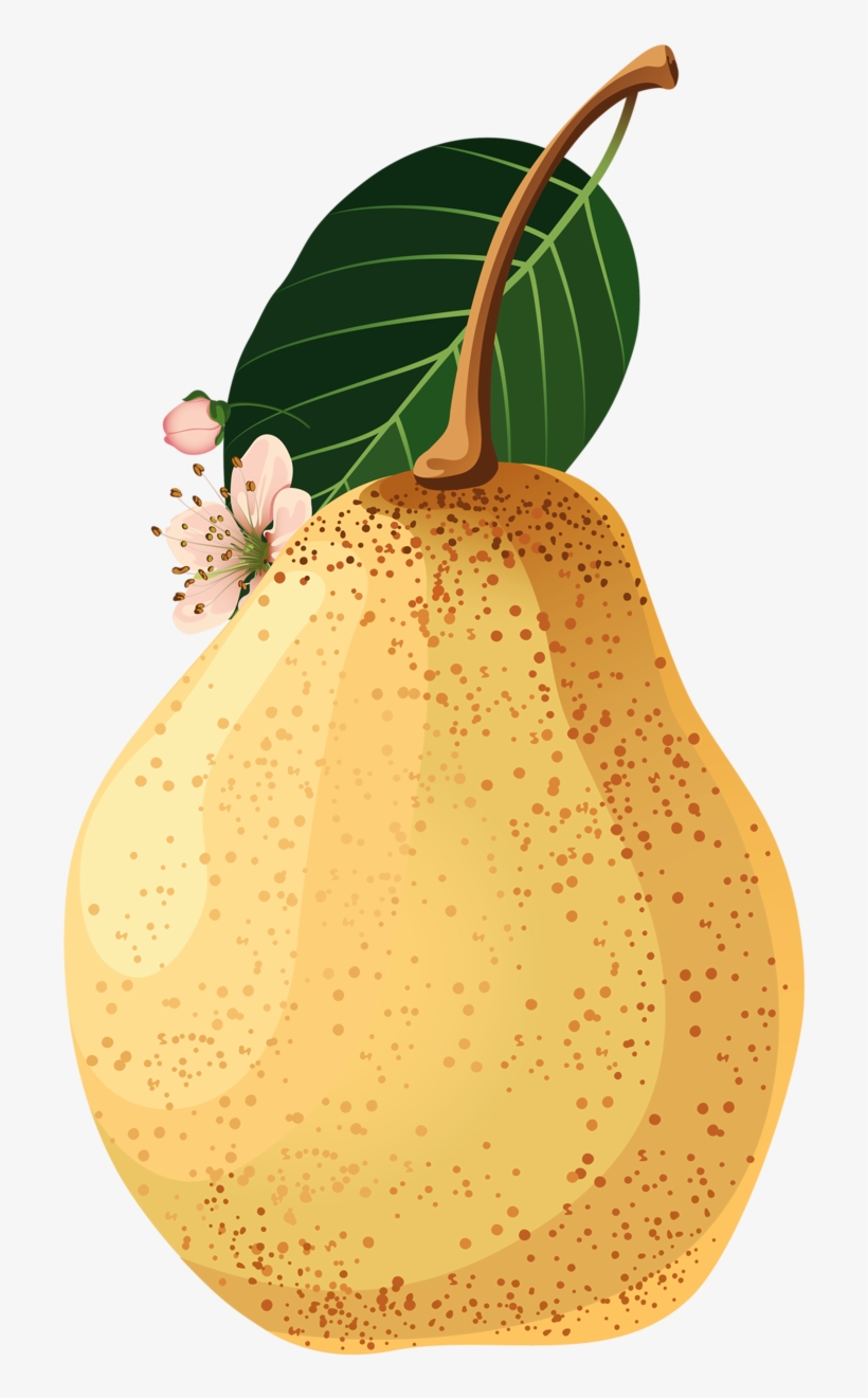Яндекс - Фотки - Food, transparent png #1539782
