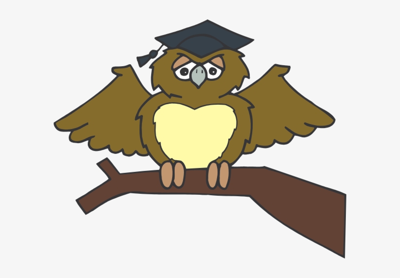 Original Png Clip Art File Owl Graduate Svg Images, transparent png #1539994