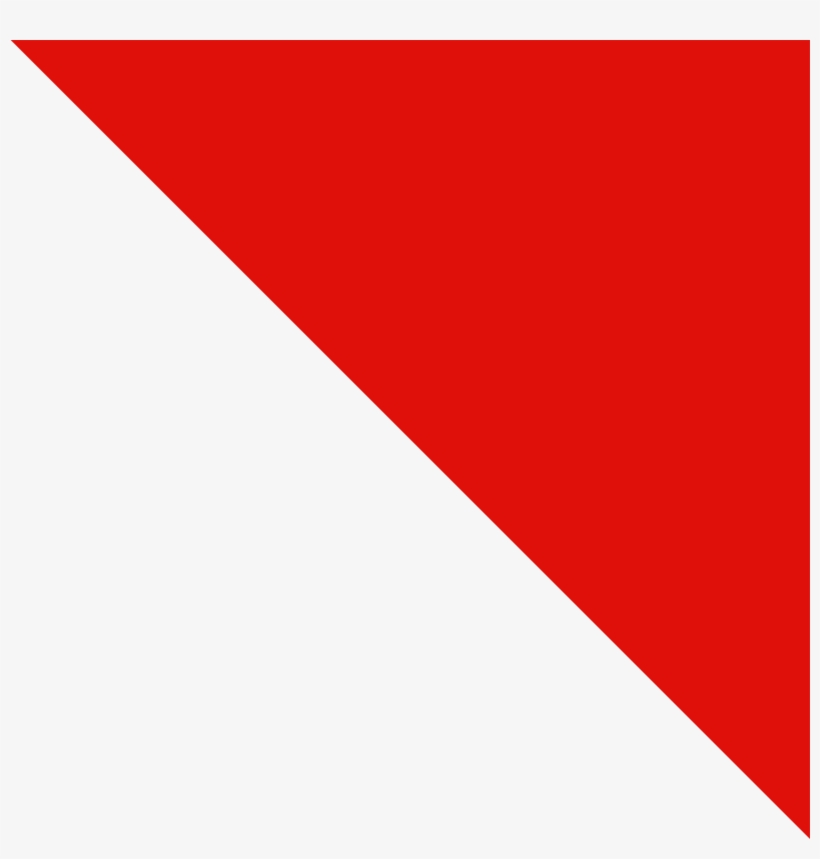 Please Enter Your Question Here And We Will Get Back - Municipio De Ricaute Bandera, transparent png #1540409