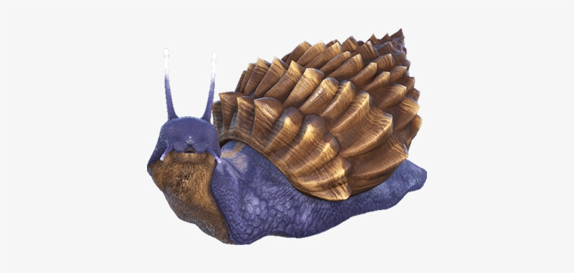 Achatina Tips & Strategies - Ark Snail, transparent png #1541640