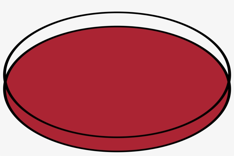 Open - Apple, transparent png #1541877