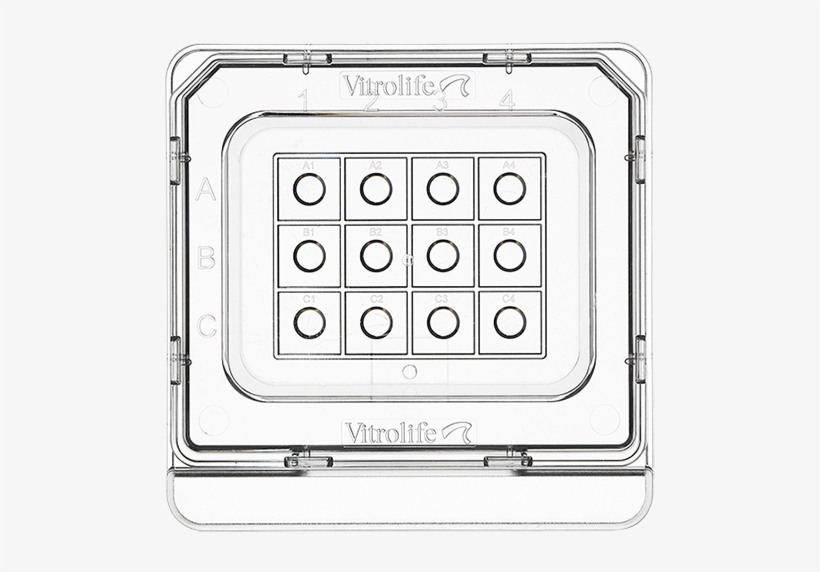 Dishes For Every Procedure - Culture, transparent png #1542949