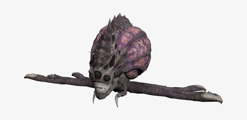 Download Zip Archive - Insect, transparent png #1543260