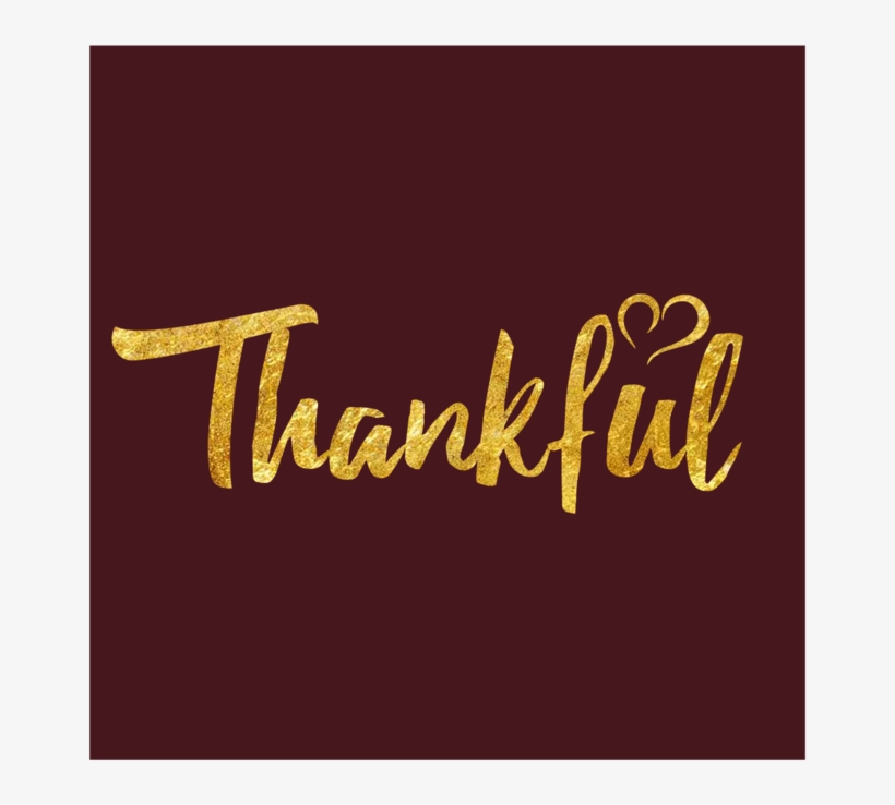 Thankful French Terry Raglan Shirt In Scarlet - Calligraphy, transparent png #1543793