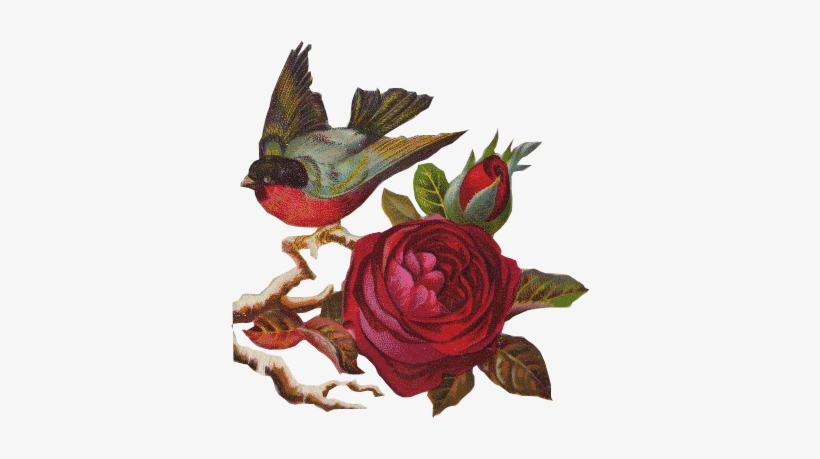 Flores Vintage Png - Birds Rose Png, transparent png #1543849