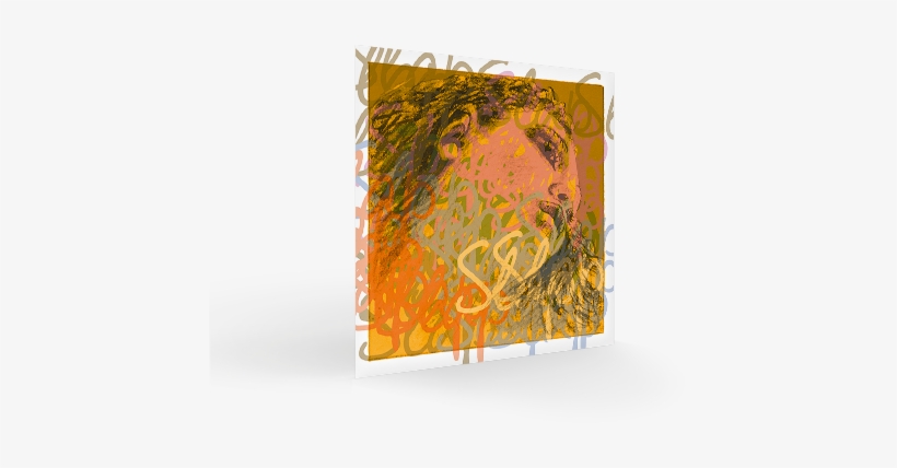 Evah Pirazzi Slap - Evah Pirazzi Slap Double Bass Strings, Set, Gut G And, transparent png #1543979