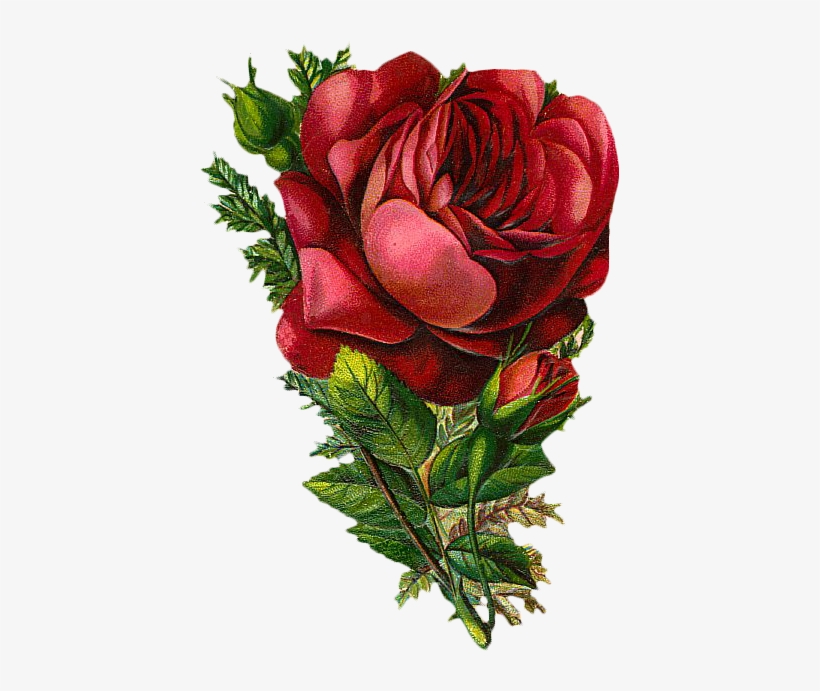 Free Vintage Rose Graphic It's Free Graphic Friday - Vintage Red Flowers Png, transparent png #1544198