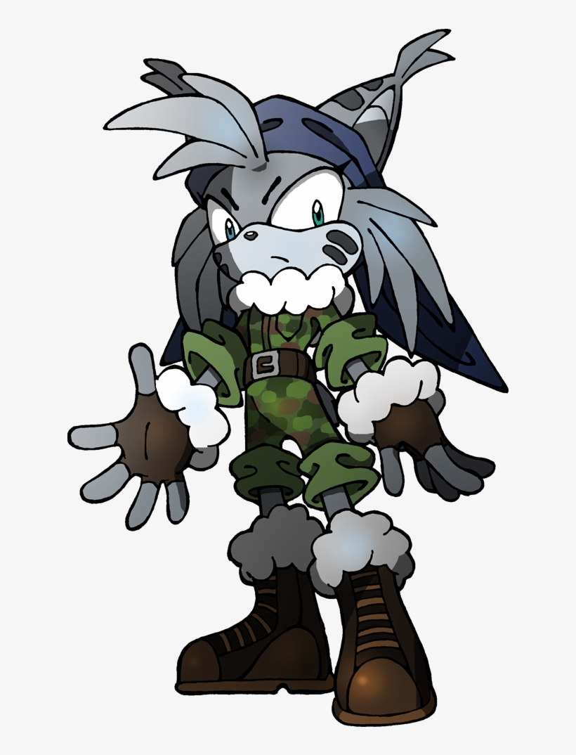 Vmed - Info - Fan Sonic Characters Lynx, transparent png #1545229