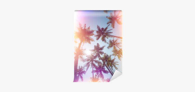 Palms Trees On A Beach Vintage Stylized With Film Light - Film, transparent png #1545637