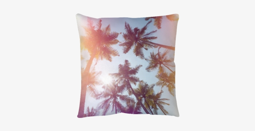 Palms Trees On A Beach Vintage Stylized With Film Light - Film, transparent png #1545836