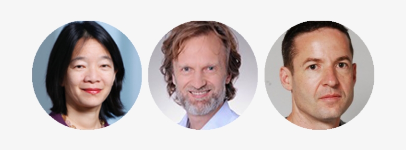 After Dinner, Torbjörn Netland, Professor Of Production - Fair, transparent png #1546316