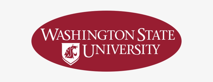 Secondary Marks Also May Be Created To Promote A Specific - Washington State University Pullman Logo, transparent png #1546318
