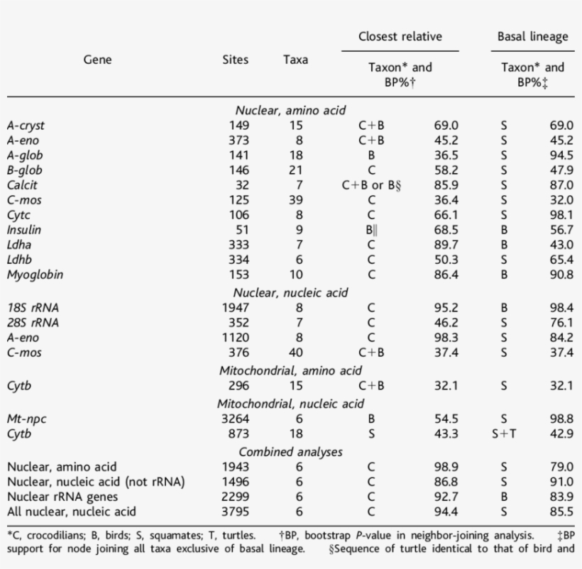 Molecular Evidence For The Closest Living Relative - Enzyme Assay, transparent png #1548494