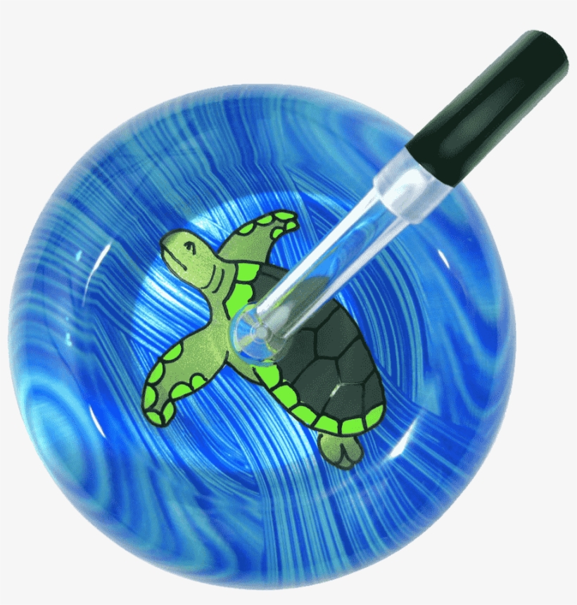 Sea Turtle - Single Stethoscope - Sea Turtle, transparent png #1550010