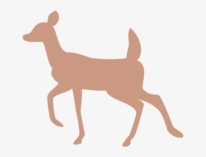 Doe And Fawn Silhouette At Getdrawings - Deer, transparent png #1550118