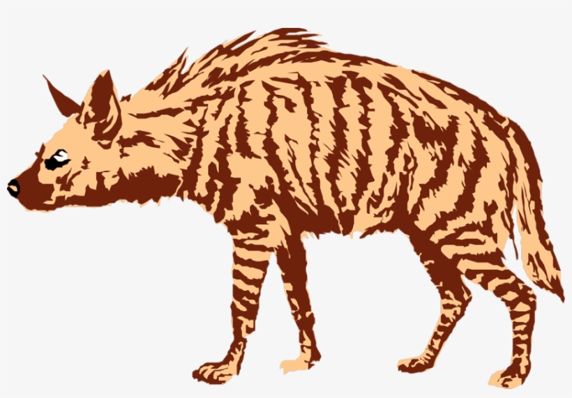 Free Png Hyena Art Png Images Transparent - Portable Network Graphics, transparent png #1550401