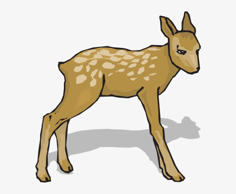 Go To Image - Fawn Clipart, transparent png #1550522