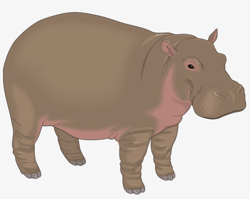 Hippopotamus Clipart, transparent png #1550783