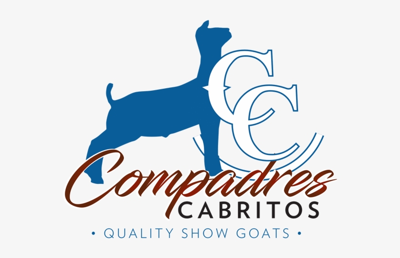 Ranch House Designs, Inc - Facebook, transparent png #1551781