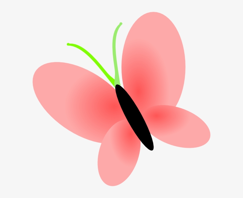 Stars Transparent Background - Flowers Clip Art Transparent Background, transparent png #1552255