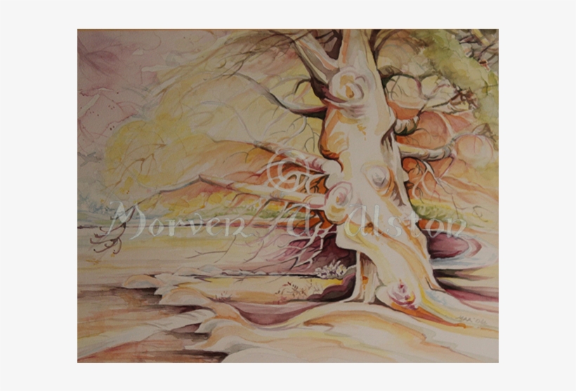 Plywood, transparent png #1552411