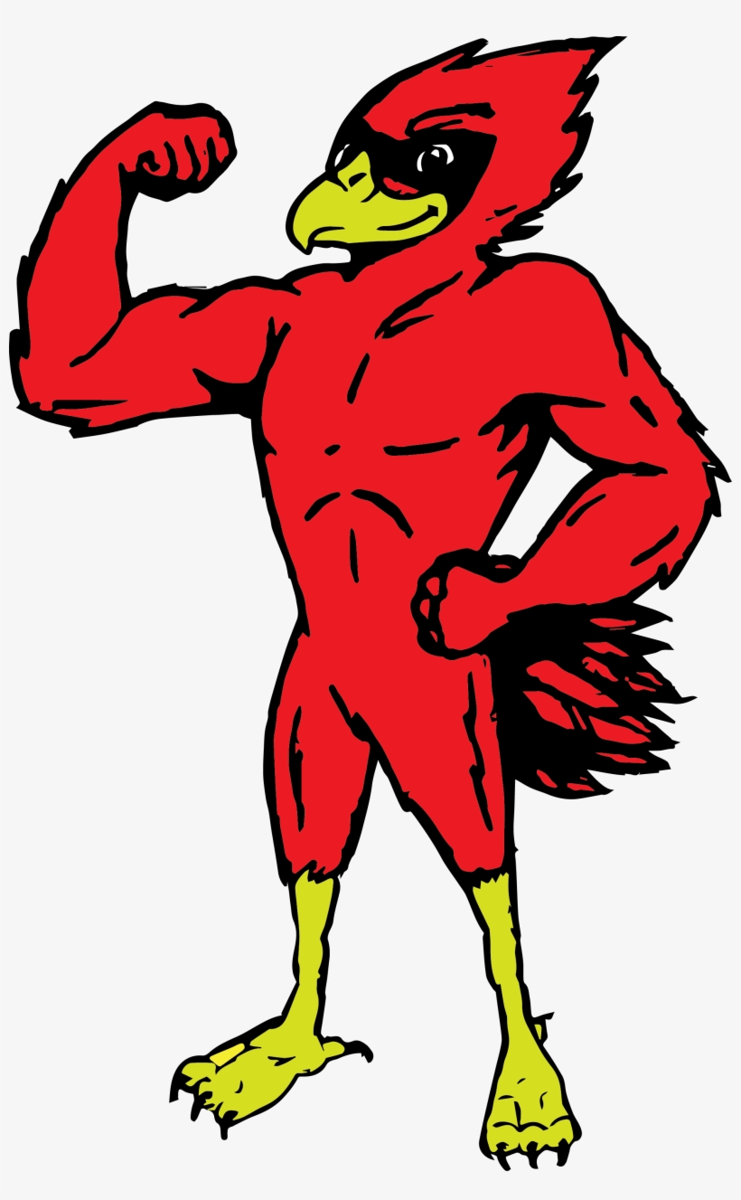 Michigan Lutheran Seminary Jpg Freeuse Stock - Clipart Muscular Cardinal, transparent png #1552644