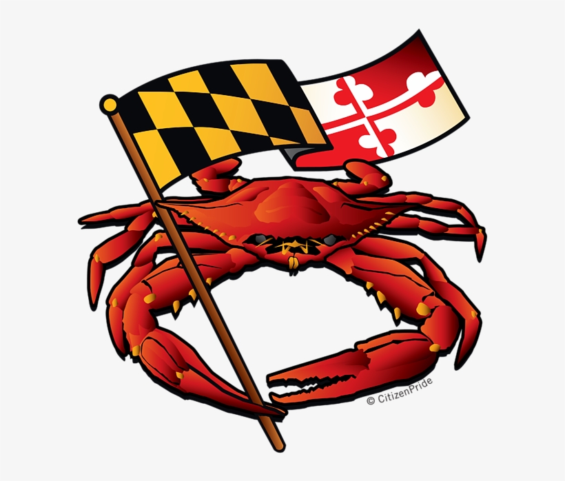 Bleed Area May Not Be Visible - Crab Maryland Blue Crab, transparent png #1552929
