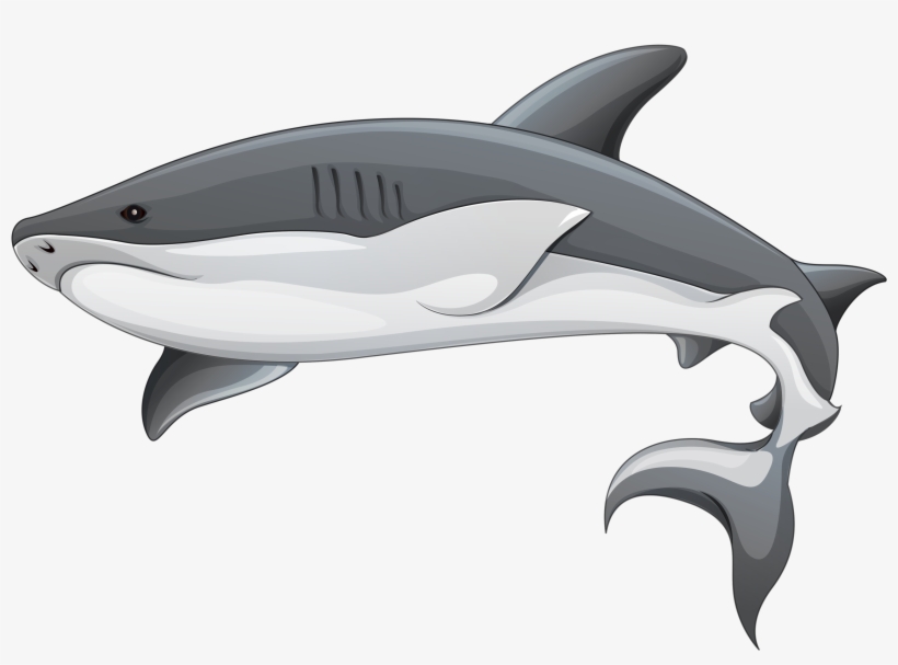 Shark Clip Art Sealife Pinterest And Images - Shark Clipart Transparent Background, transparent png #1553698