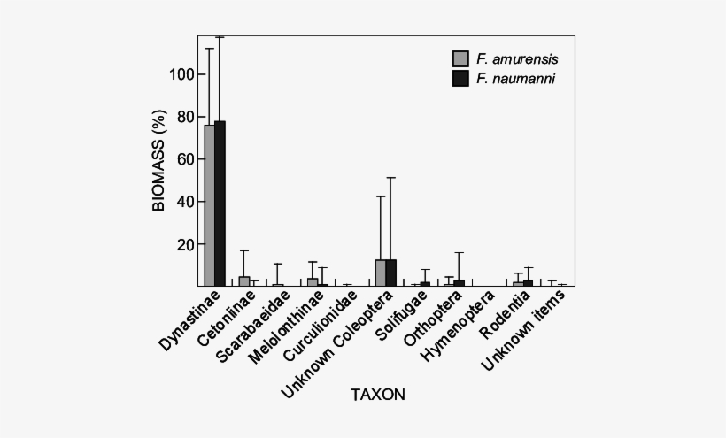 Proportion Of Total Stomach Biomass Contributed By - Ratio, transparent png #1554145