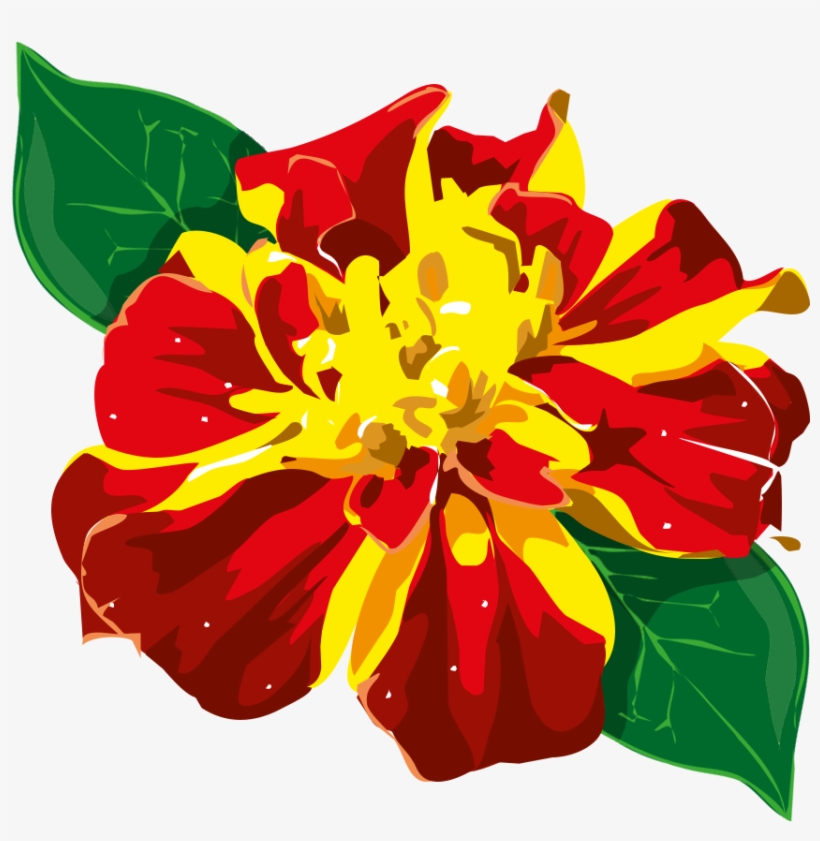 Flor Png - Flor Da Amazonia Png, transparent png #1554907