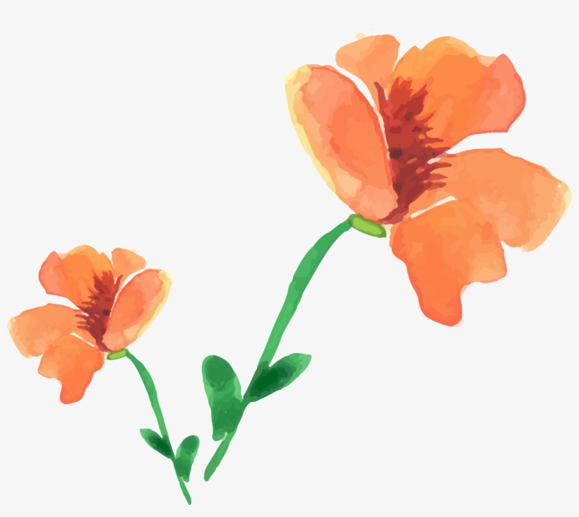 Watercolor Painting Flower Painted Floral Decoration - Watercolor Painting, transparent png #1555021