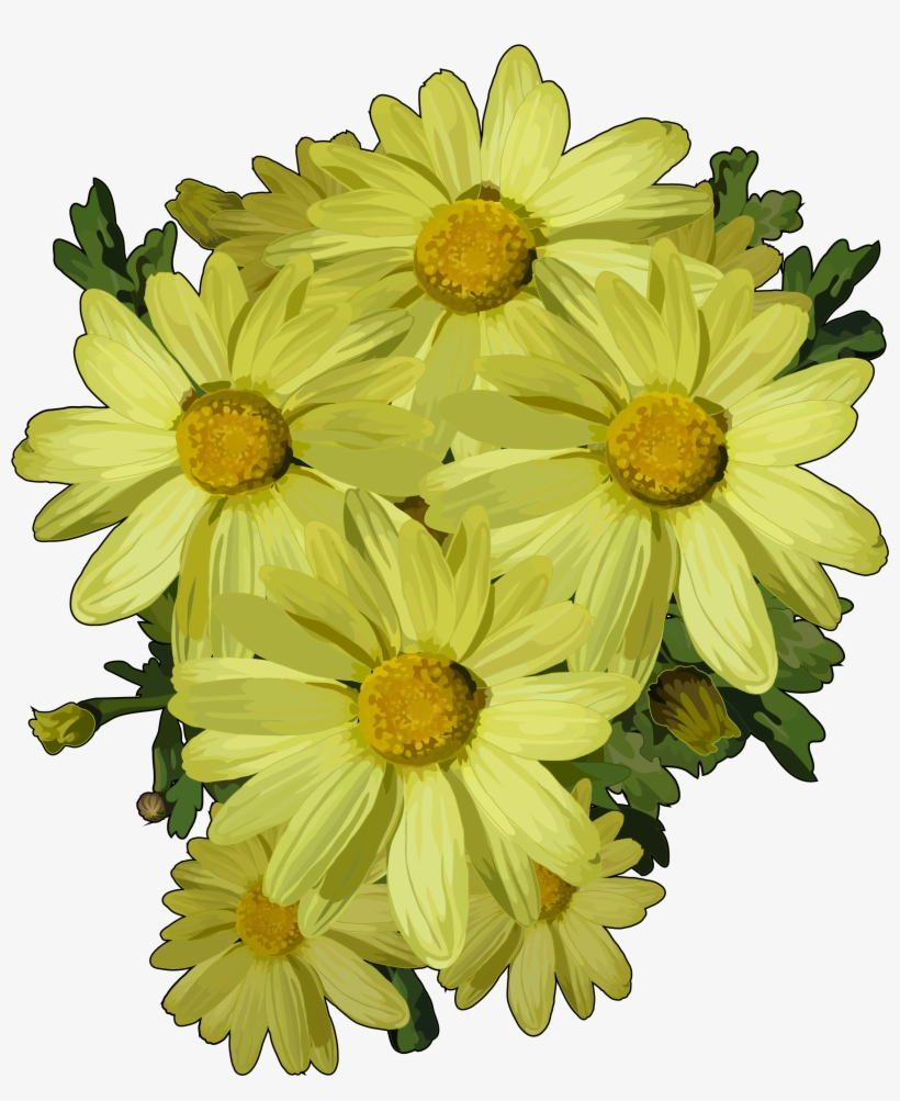 Margaritas De Flores Png, transparent png #1555252