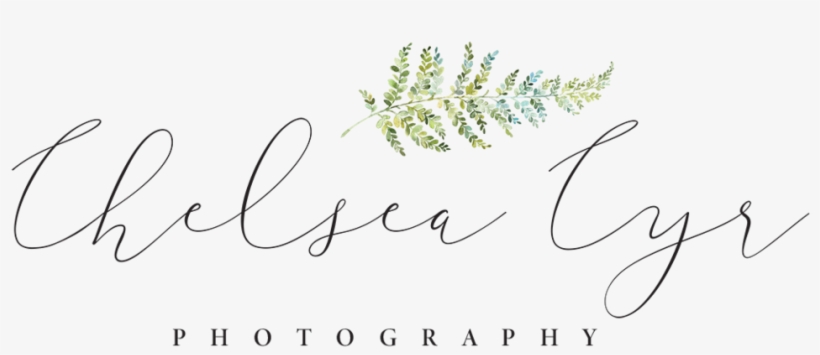 Chelsea Cyr's Portfolio - Pesey Palmer Photography, transparent png #1556462