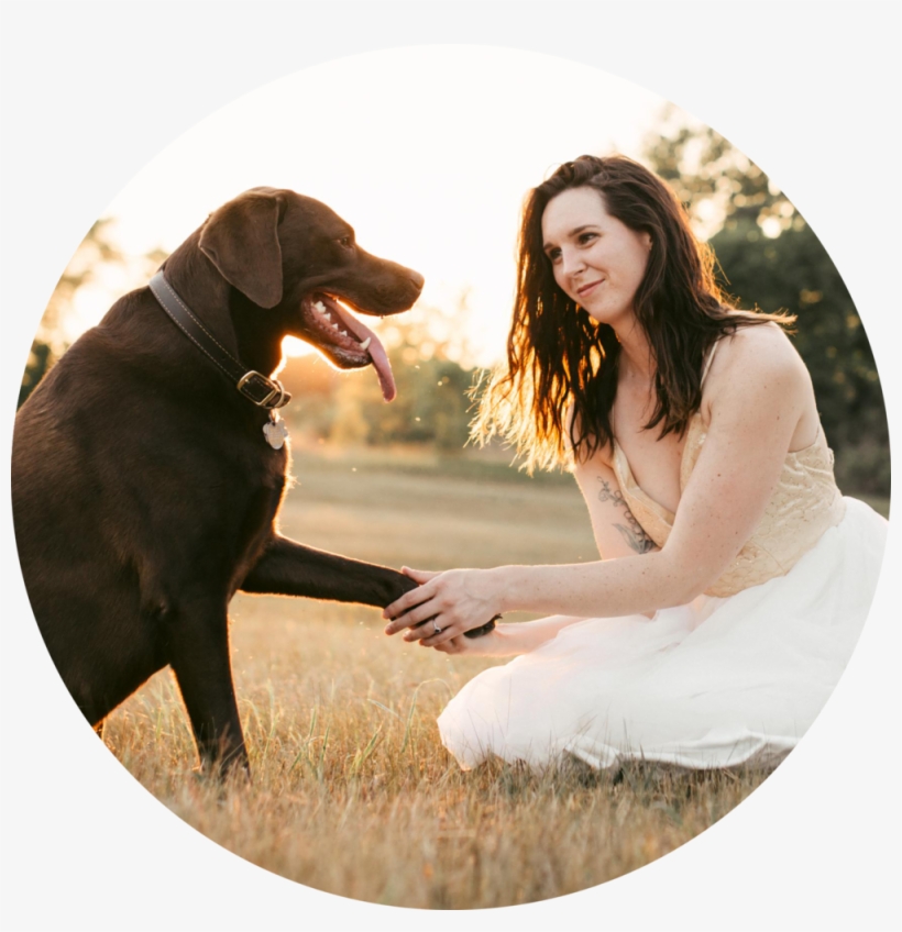 Dog Catches Something, transparent png #1558144